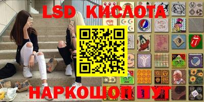 ПСИЛОЦИБИНОВЫЕ ГРИБЫ Можайск