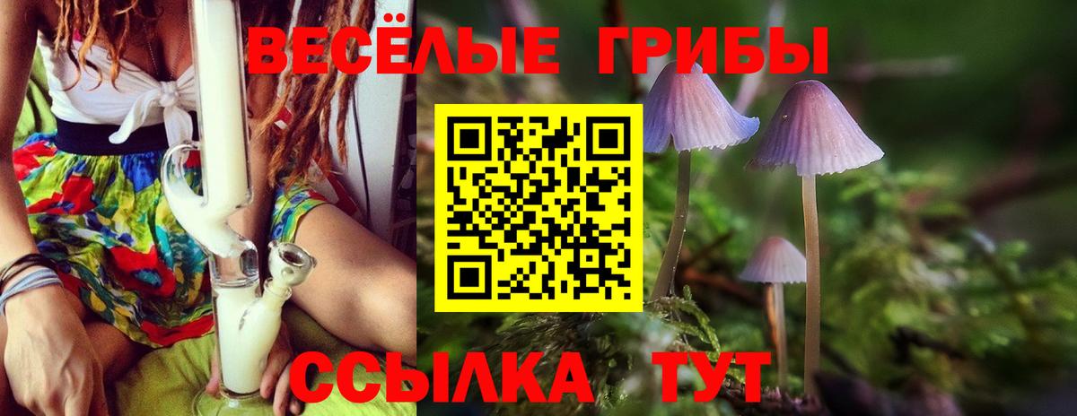 Галлюциногенные грибы мухоморы Дубна
