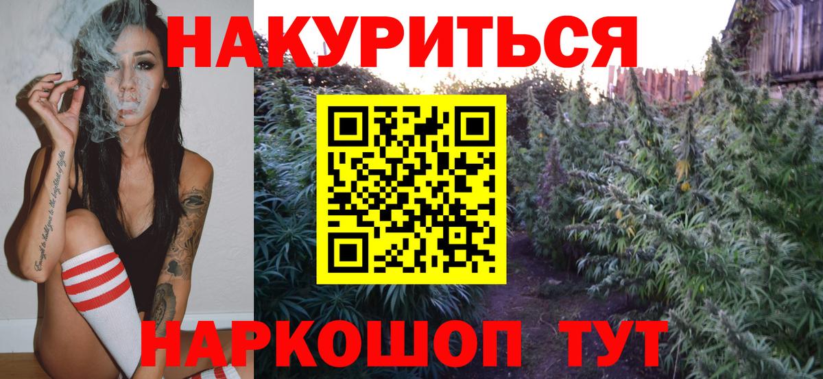 Каннабис гибрид Дубна